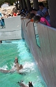 Kids_SeaWorldSA-2013 (167)